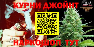 меф Новоалександровск