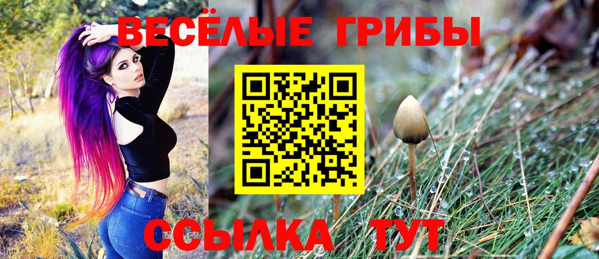 Гусь-Хрустальный  Псилоцибиновые грибы Magic Shrooms  где купить наркоту  Вход с VPN 